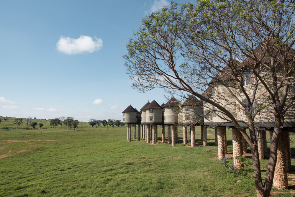 Salt Lick Lodge huisjes Taita Hills kenia