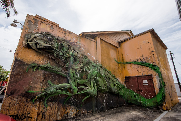 San Nicolas Aruba Street art hagedis