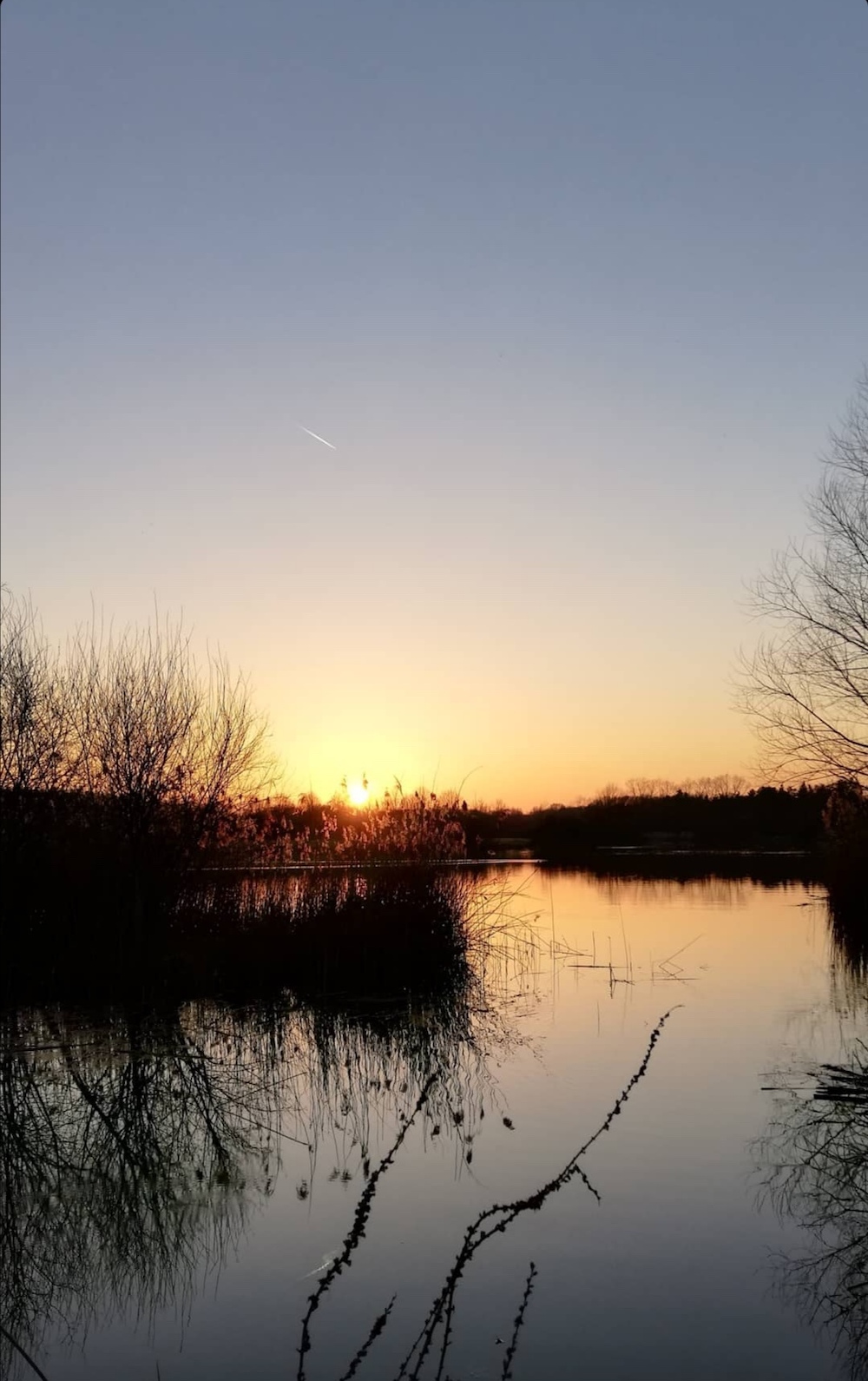 Zonsondergang bij het bomenpark Oss