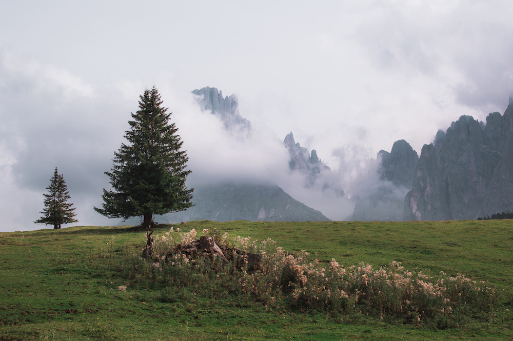 Seiser Alm val gardena dolomieten