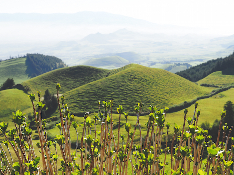 Sete Cidades onderweg van ponta delgada azoren