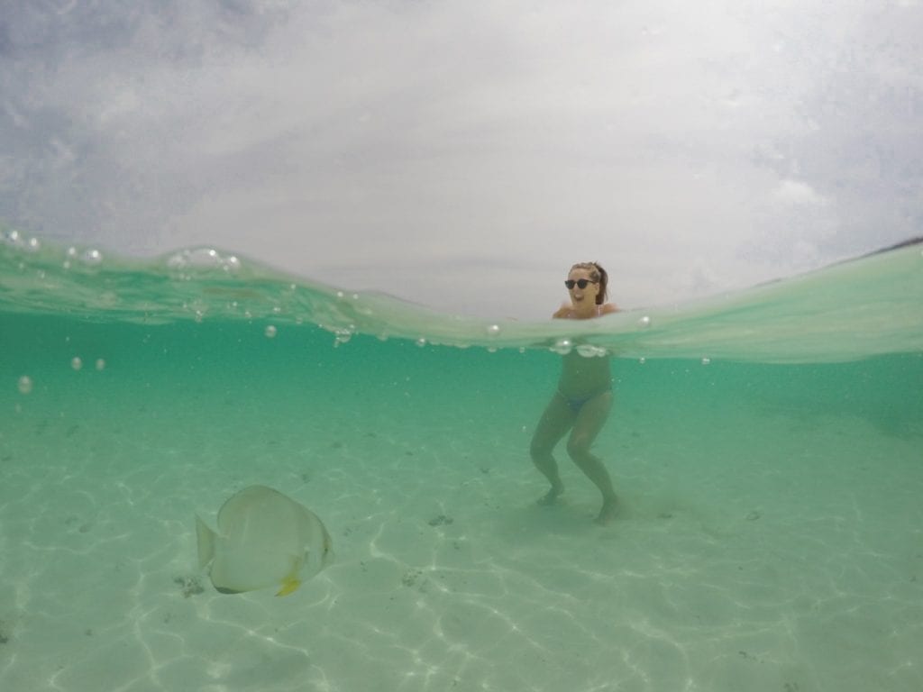 Seychellen La Digue onderwater