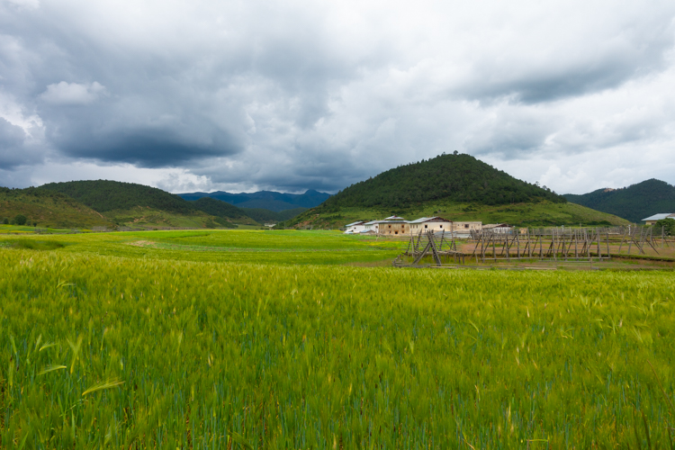 Shangri-la-velden-tibet