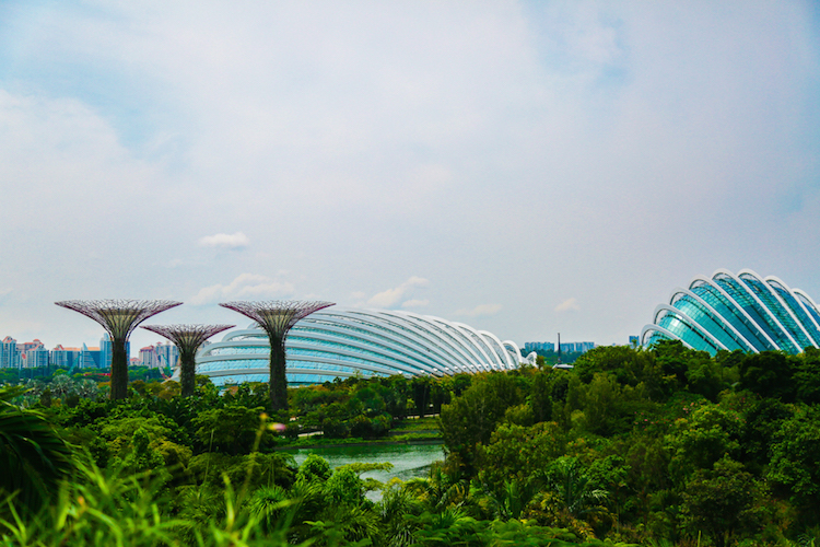 Singapore trees koepels