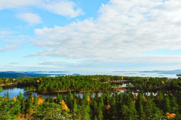 Skuleskogen National Park