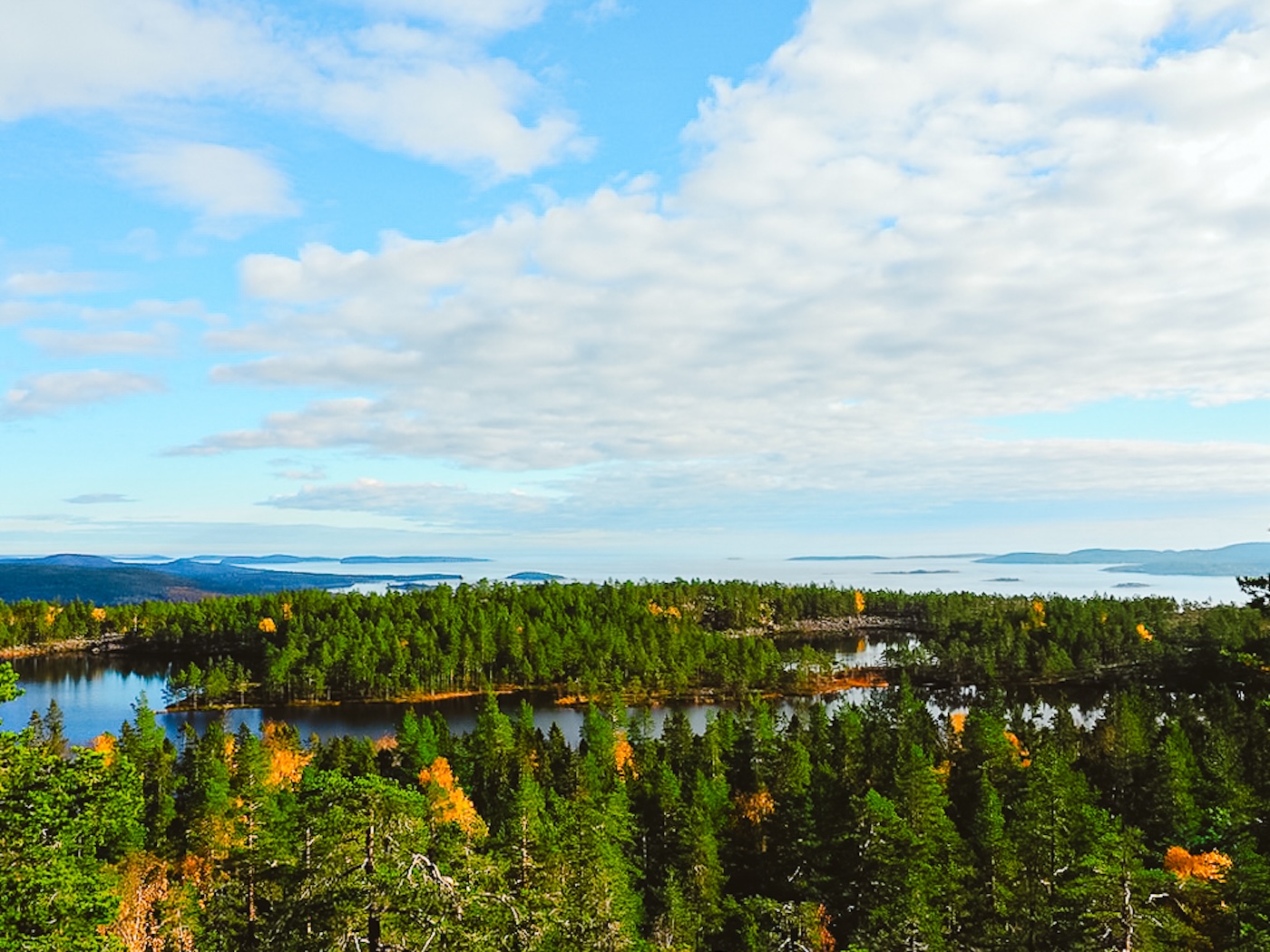 Skuleskogen National Park