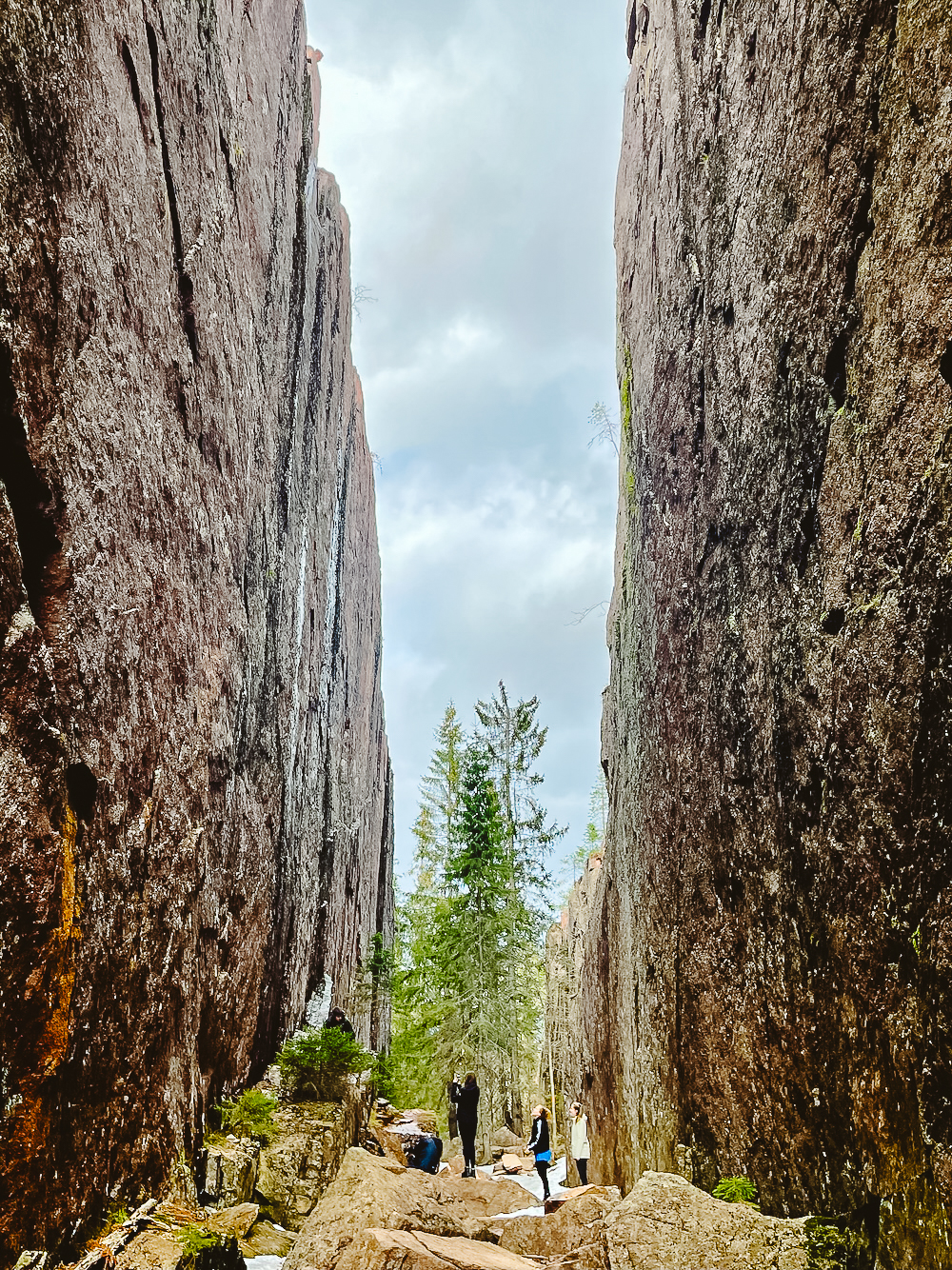 Slåttdalsskrevan skuleskogen