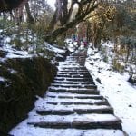 trekking in de sneeuw nepal