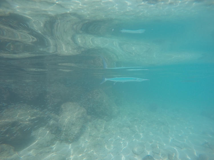 snorkelen curacao porto marie