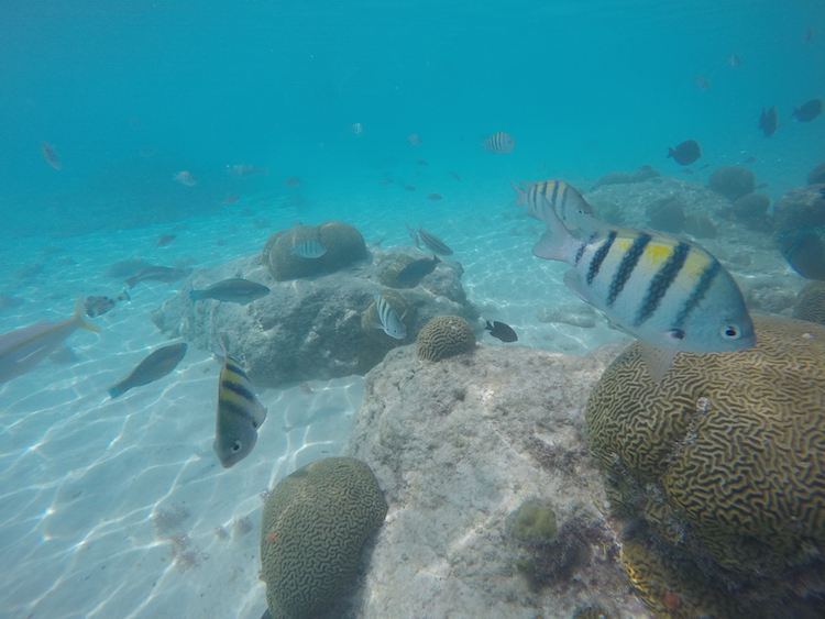 snorkelen curacao porto marie