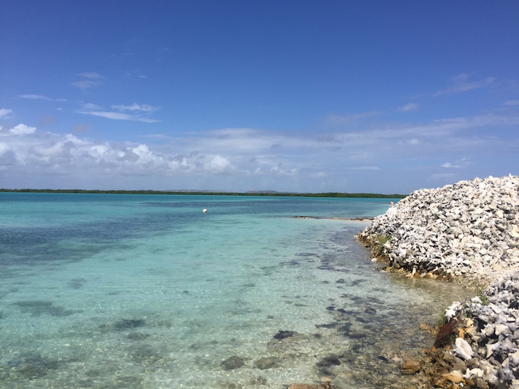 Snorkelen op Bonaire bij Lac Bay