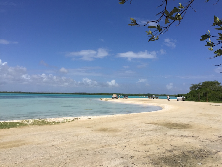 Snorkelen op Bonaire bij het strand Lac Bay