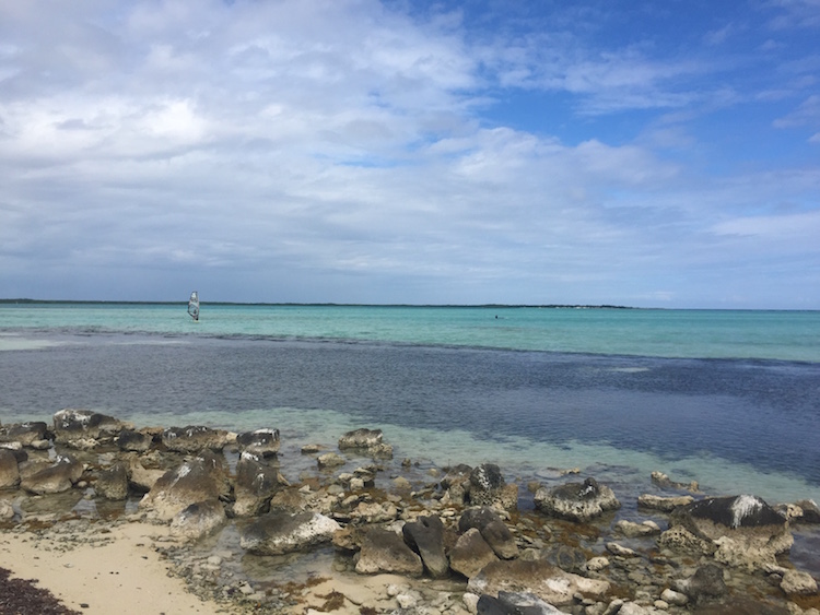 Snorkelen op Bonaire snorkel guide Lac Bay