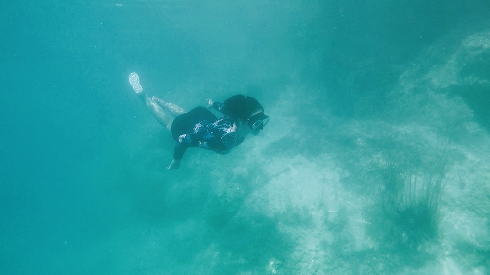 snorkelen rondreis mexico 2 weken