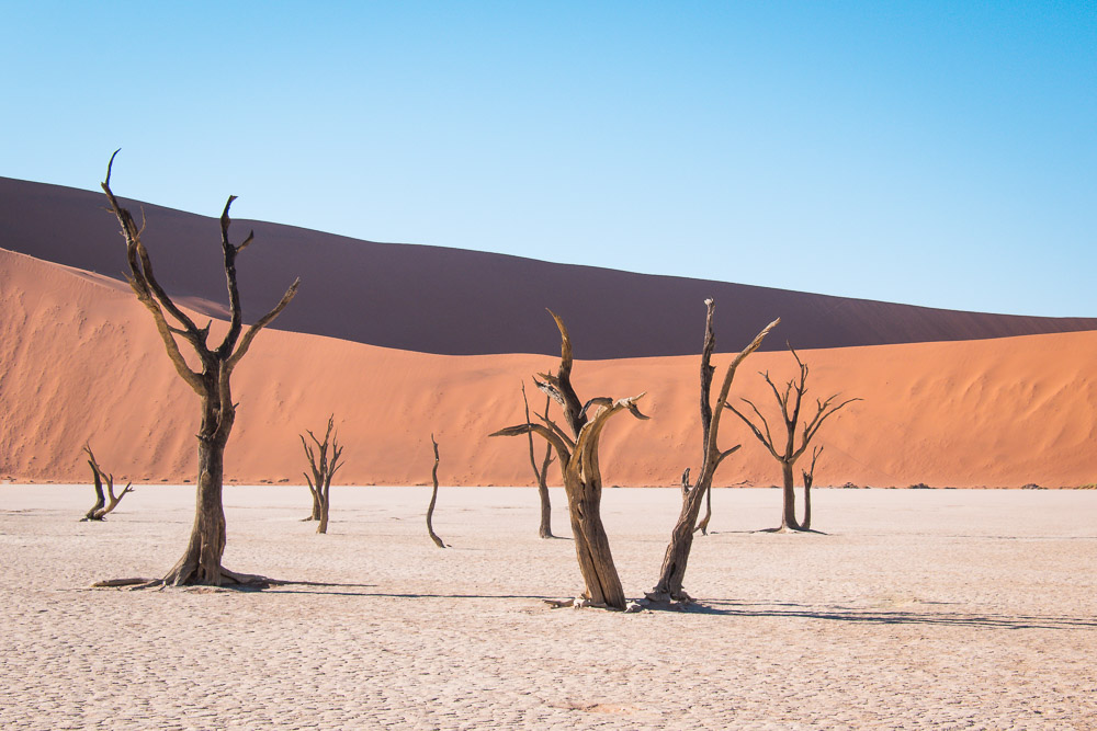 Sossusvlei deadvlei