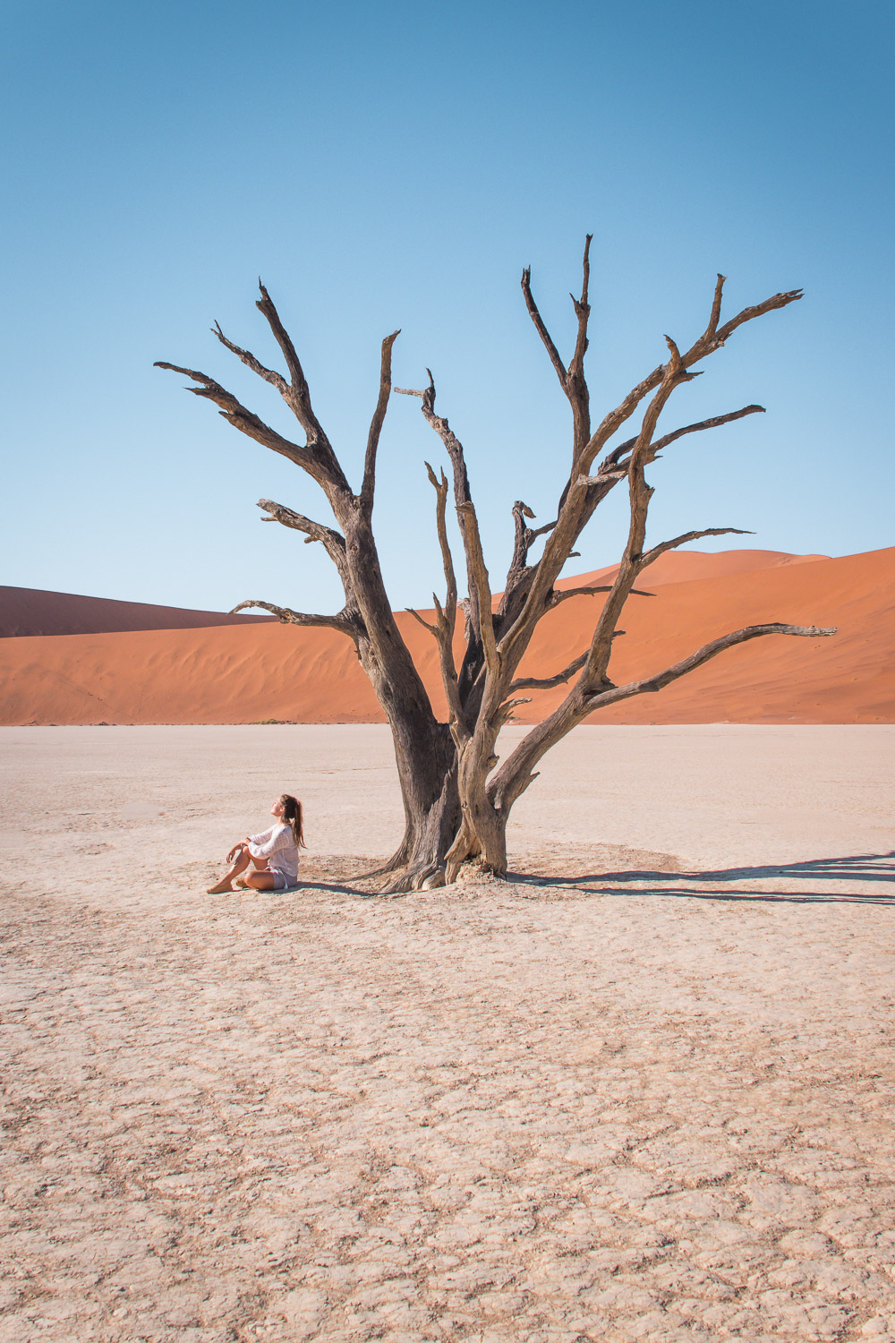 Sossusvlei Deadvlei namibie-2