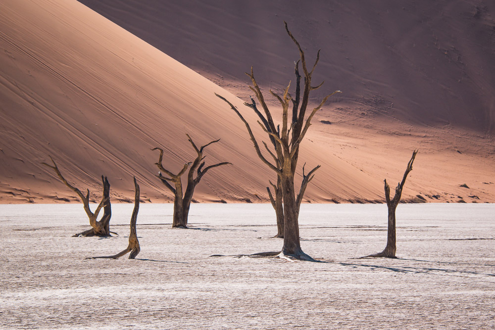 Sossusvlei Deadvlei namibie big daddy duin