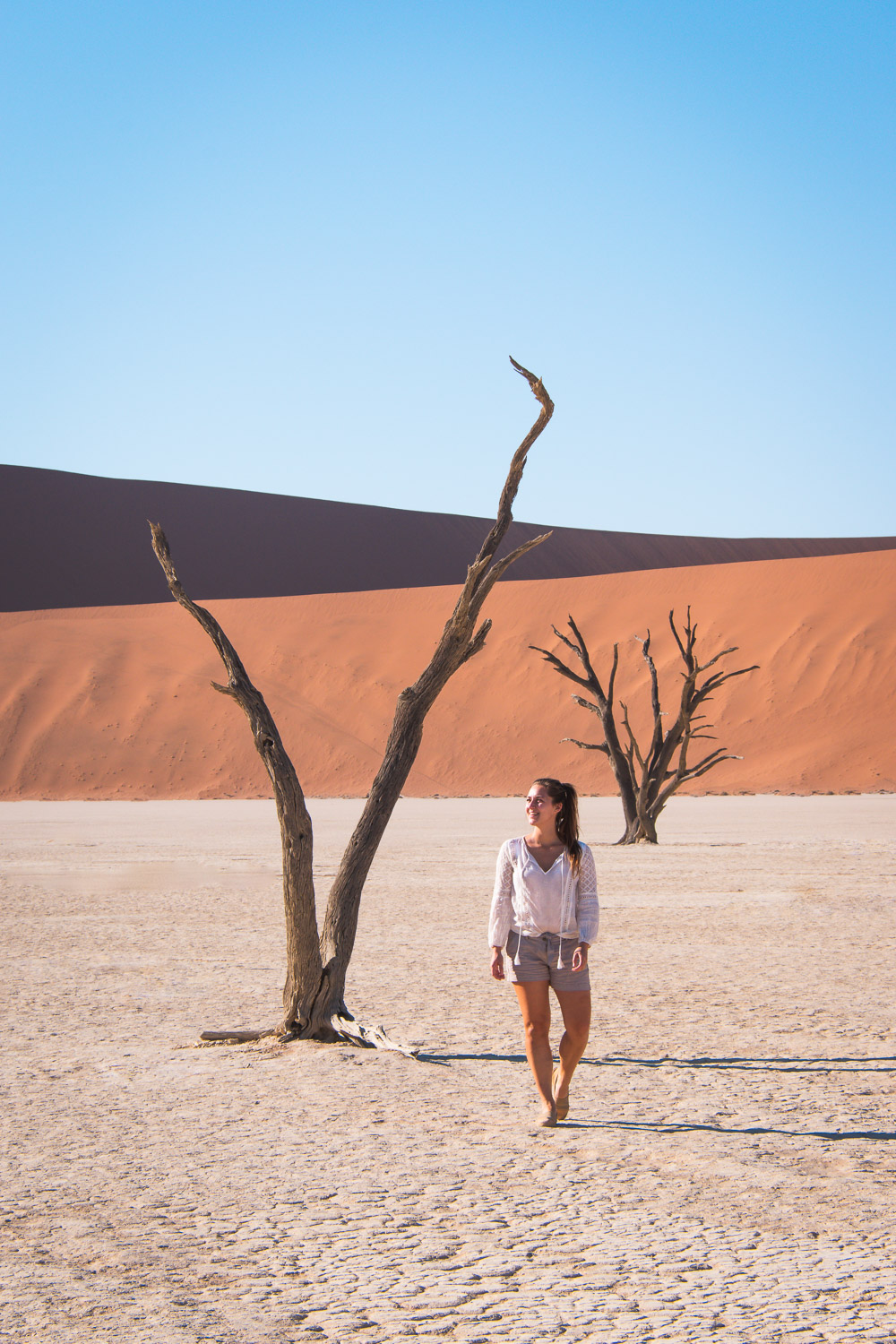 Sossusvlei Deadvlei