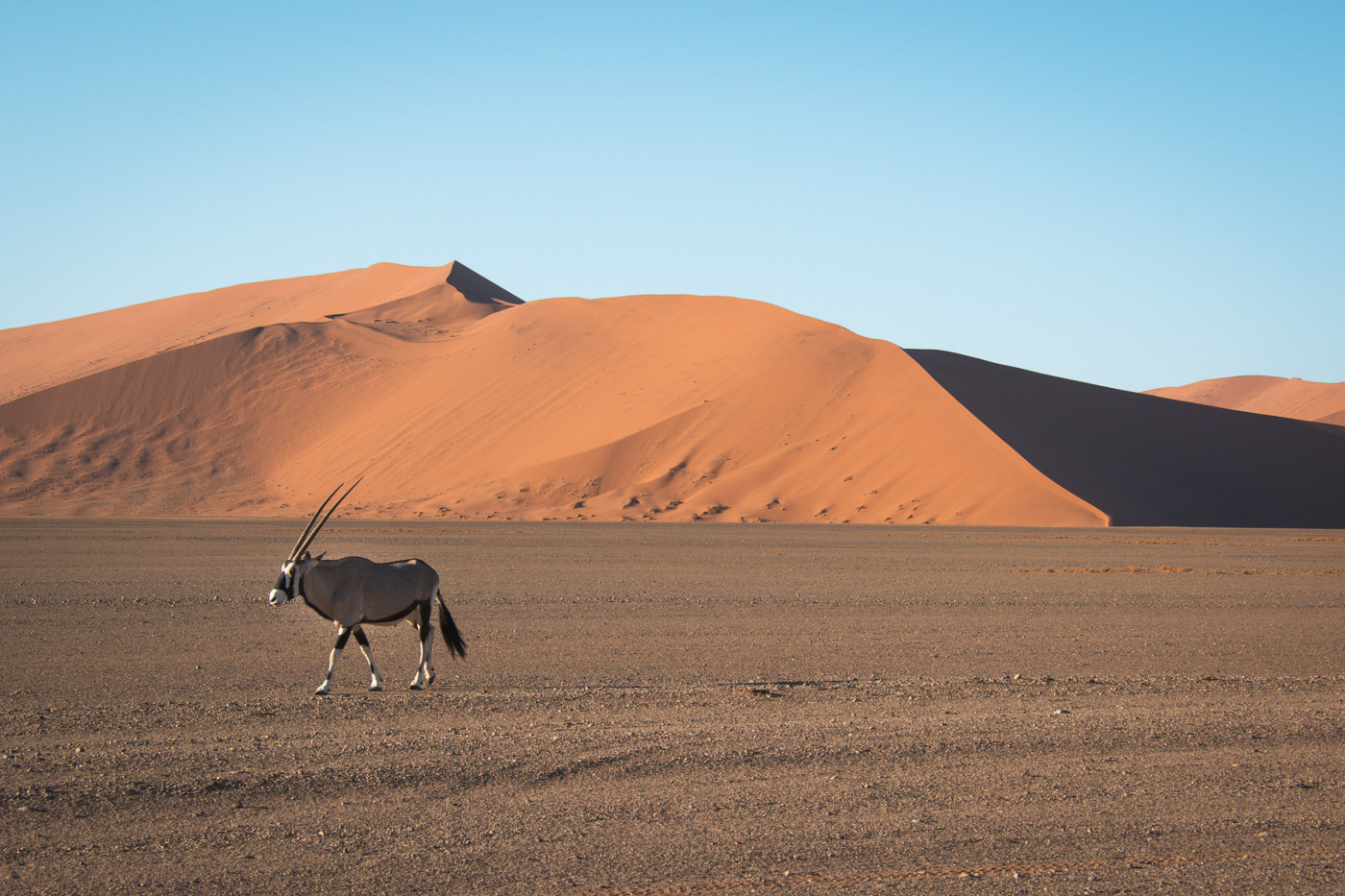 Sossusvlei Namibie tips