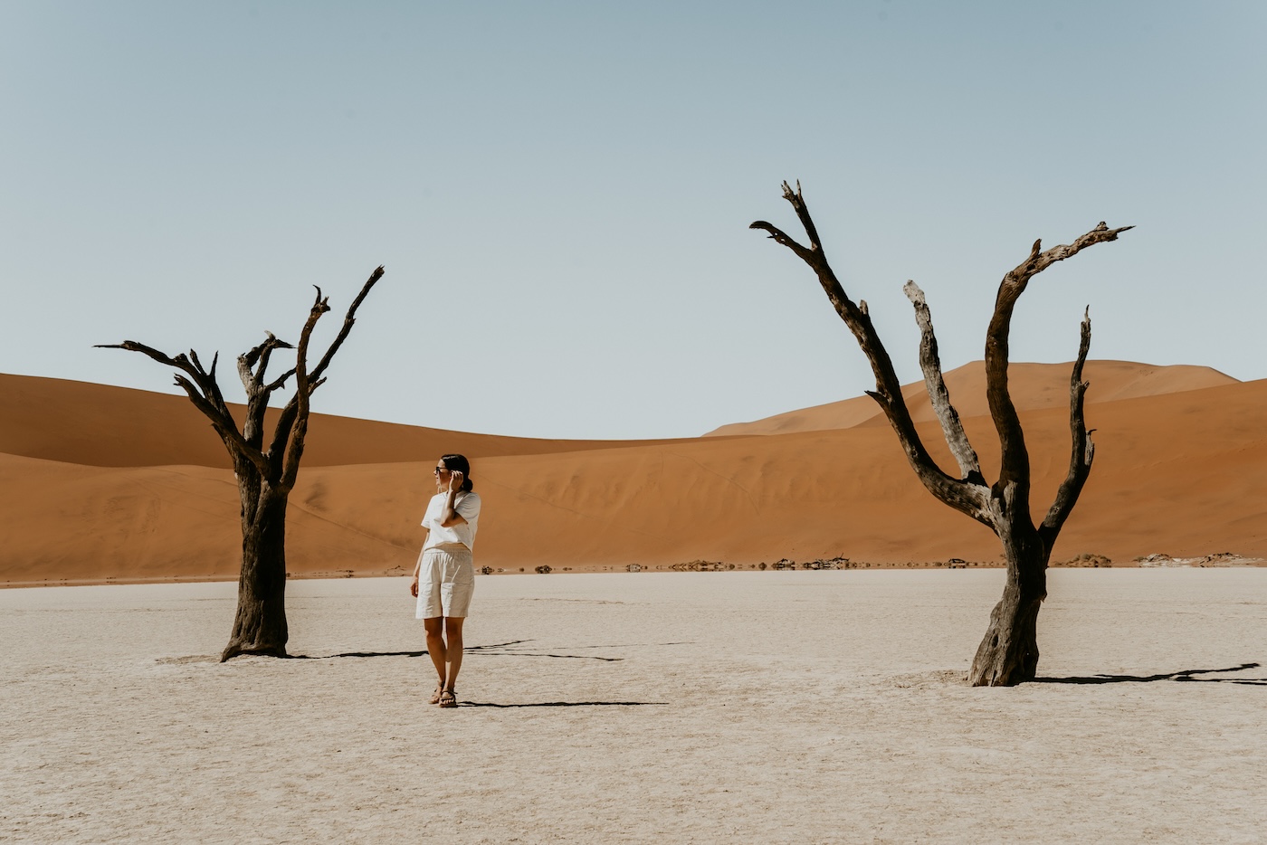 Sossusvlei bomen