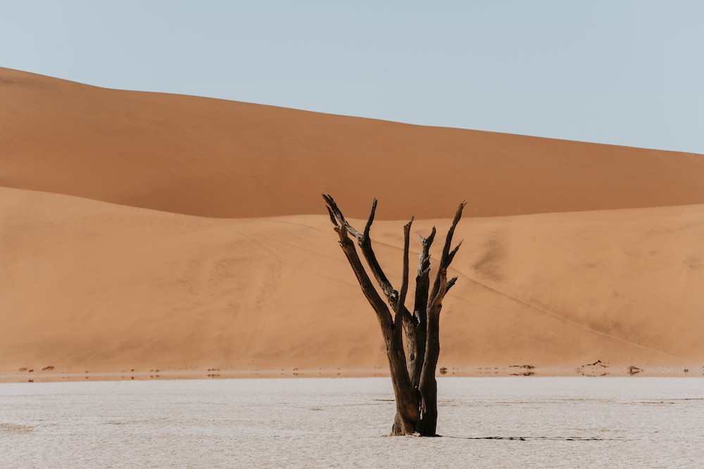 Sossusvlei, natuur Namibie