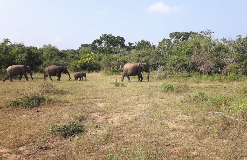 Sri Lanka off the beaten track Kataragama - Yala NP