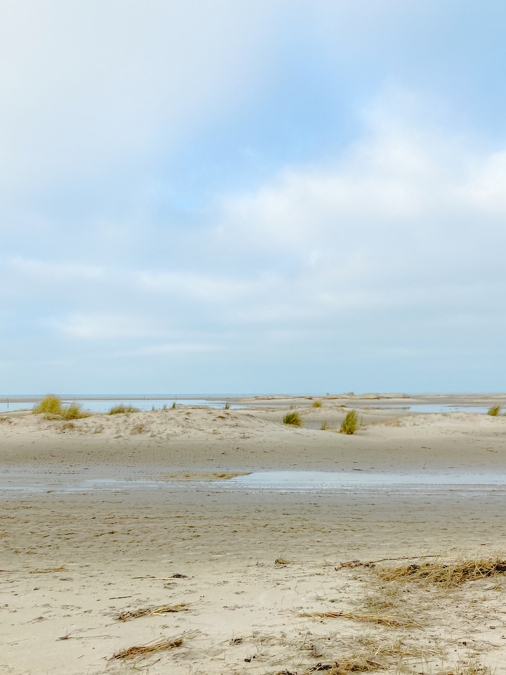 Strand bij Renesse