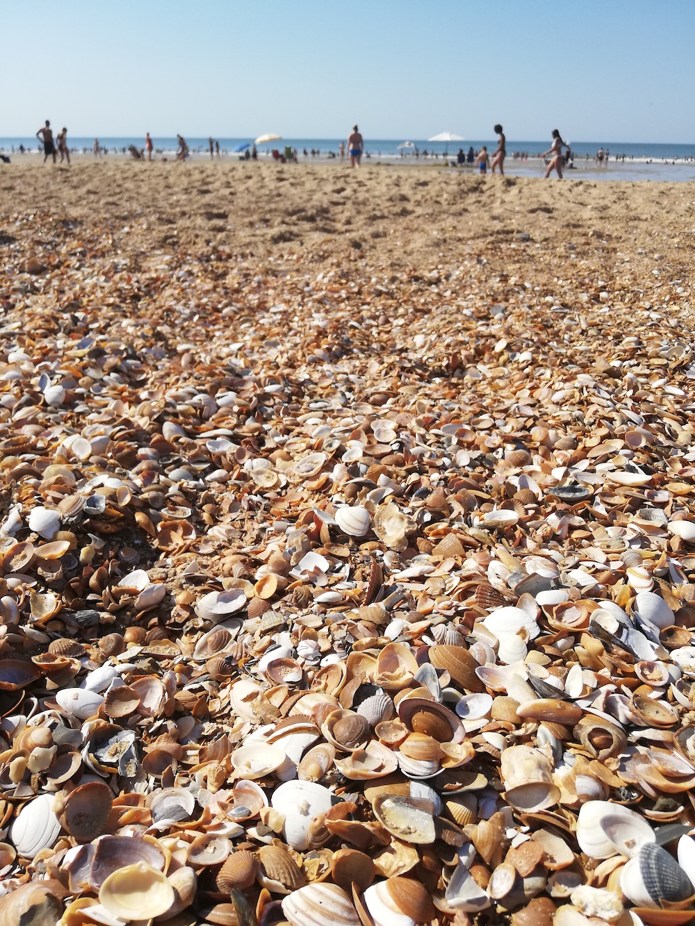 Strand van Oostende