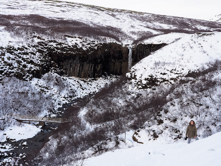 Svartifoss Waterval Skaftafell Falls