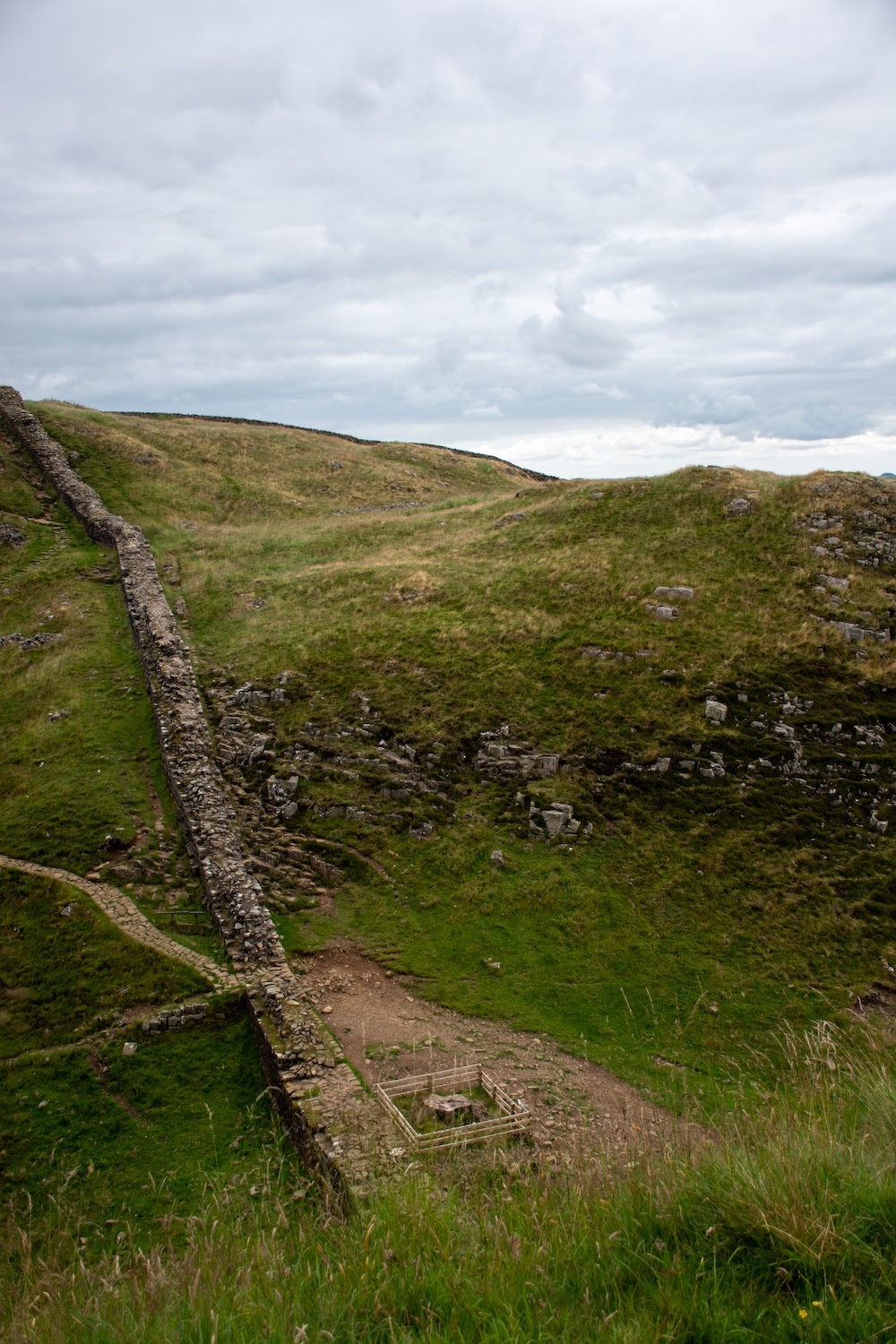 Sycamore Gap