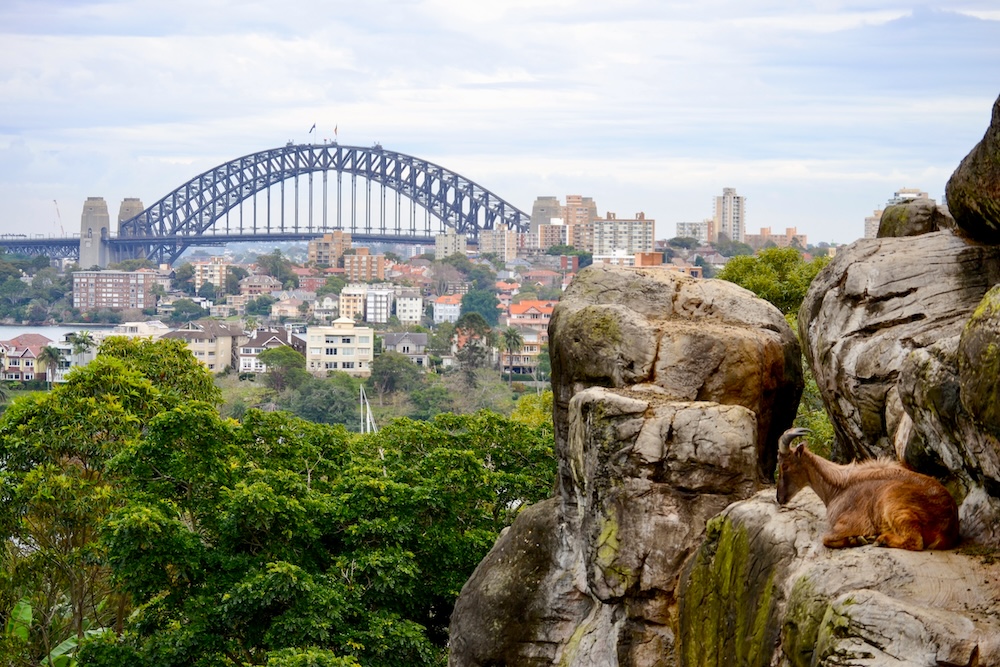 Sydney bezienswaardigheden, Taronga zoo