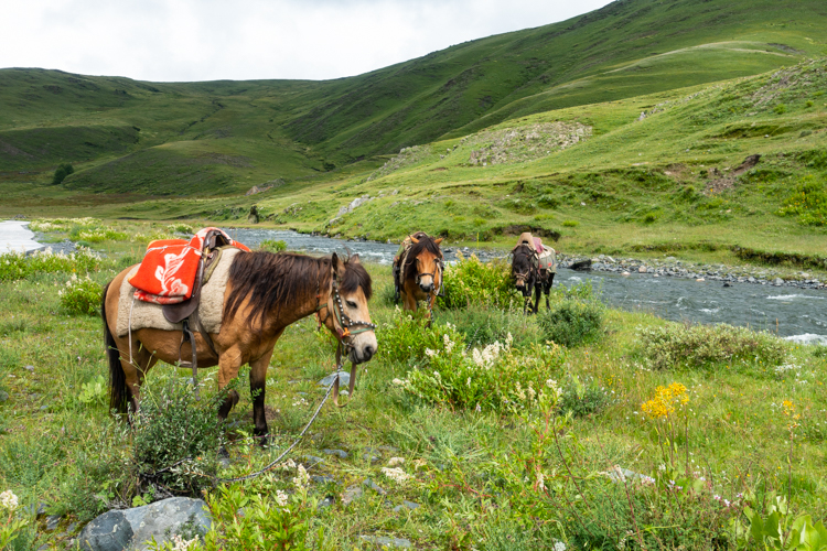 Tagong Tibet reizen