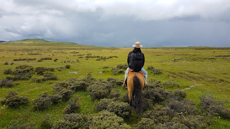 Tagong reizen tibet