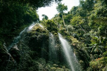 Taman Negara National Park