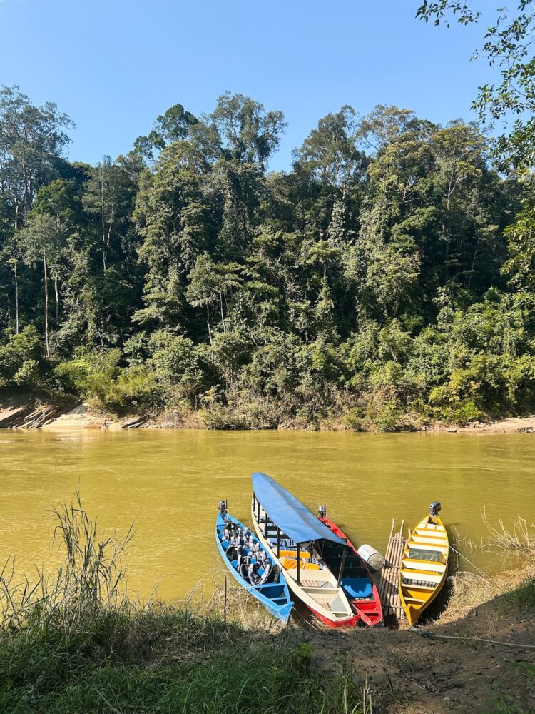 Taman Negara bootje