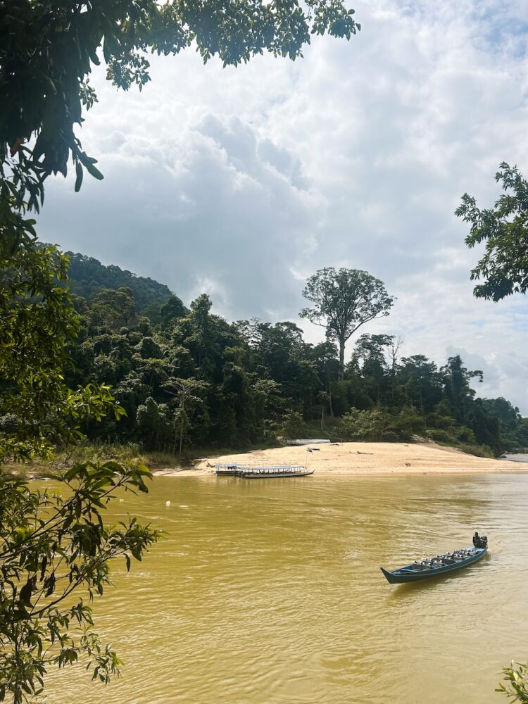 Taman Negara rivier