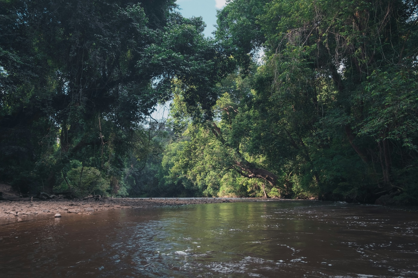 Taman Negara