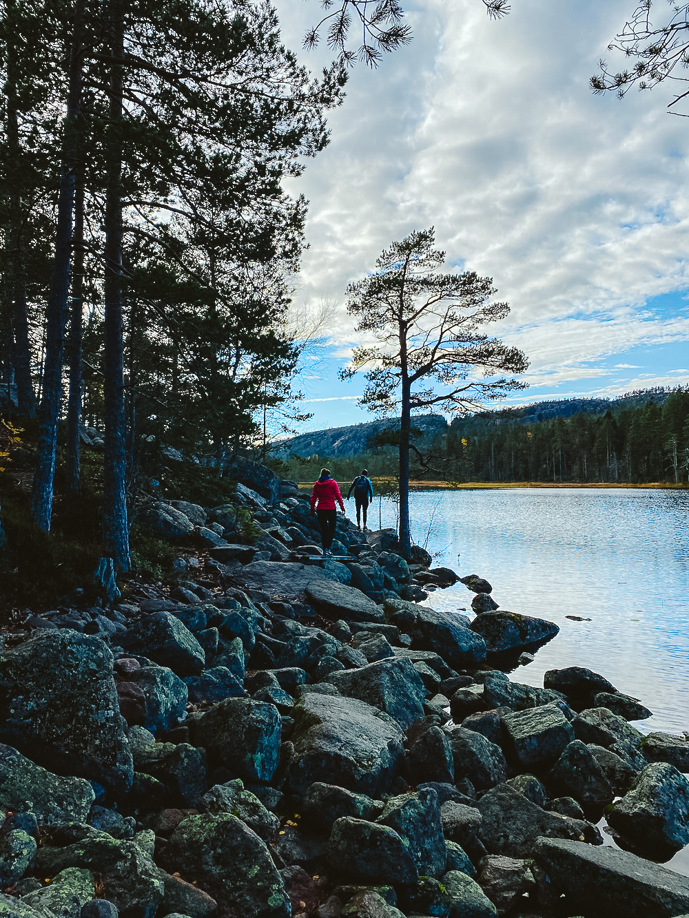 Tärnättholmarna, Skuleskogen