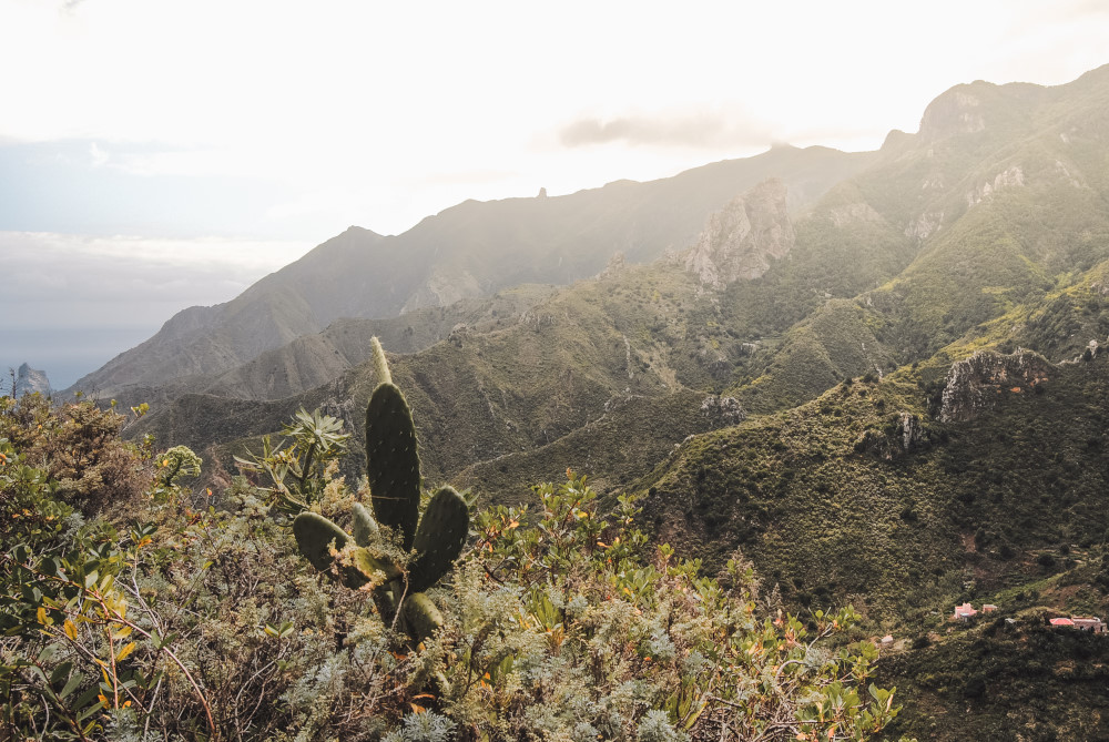 Tenerife wat te doen tips