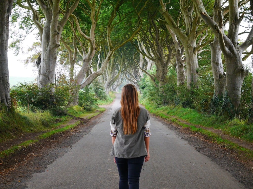 The Dark Hedges Ierland