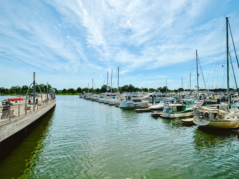 The Warf washington