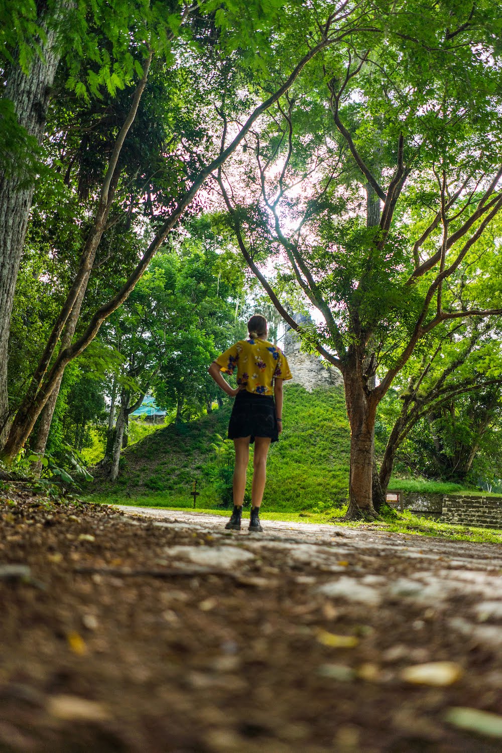 Tikal, Flores in Guatemala