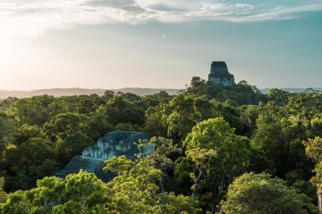 Tikal in Guatemala