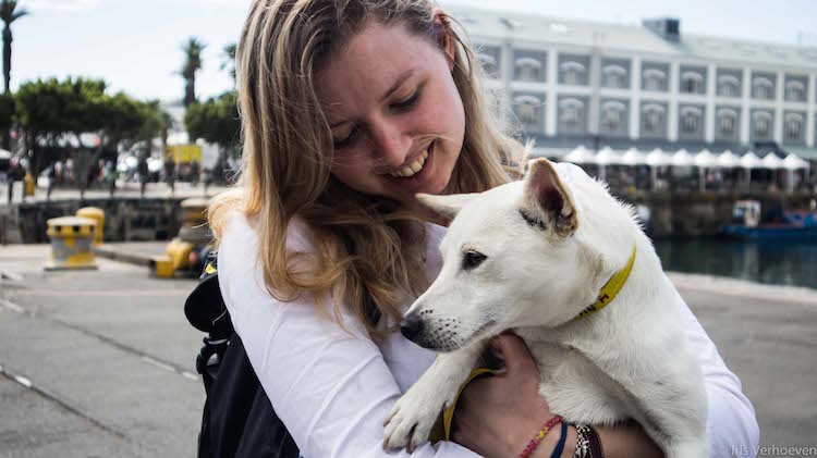 Tips kaapstad hond uitlaten waterfront