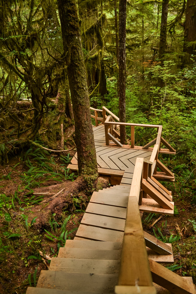 Tofino Ucluelet Vancouver Island-4