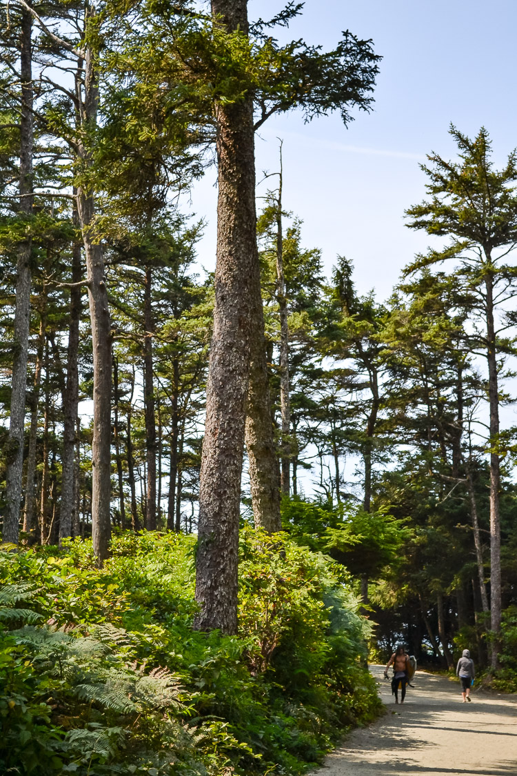 Tofino Ucluelet Vancouver Island-5