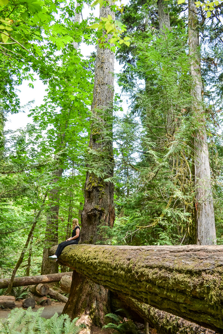 Tofino Ucluelet Vancouver Island