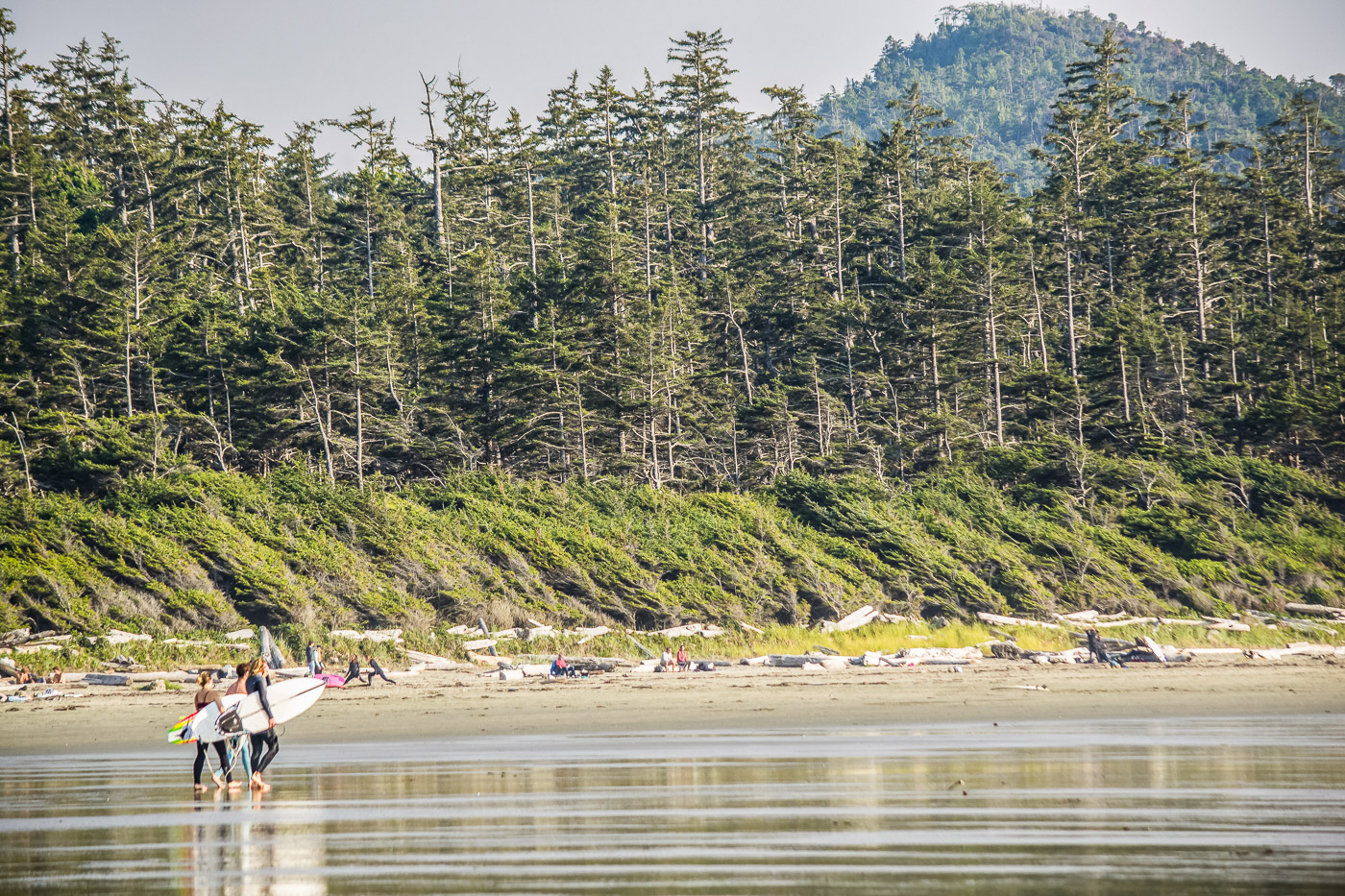 Tofino Vancouver Island Cox Bay