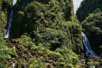 Trafalgar Falls Dominica