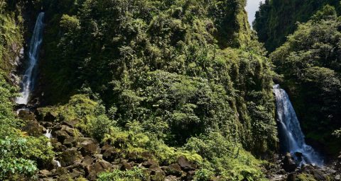 Trafalgar Falls Dominica